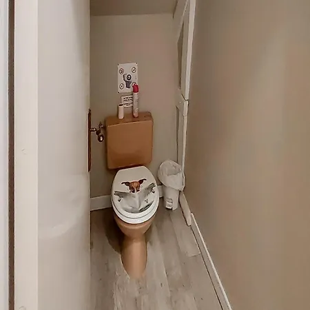 3 Bedroom Cozy In